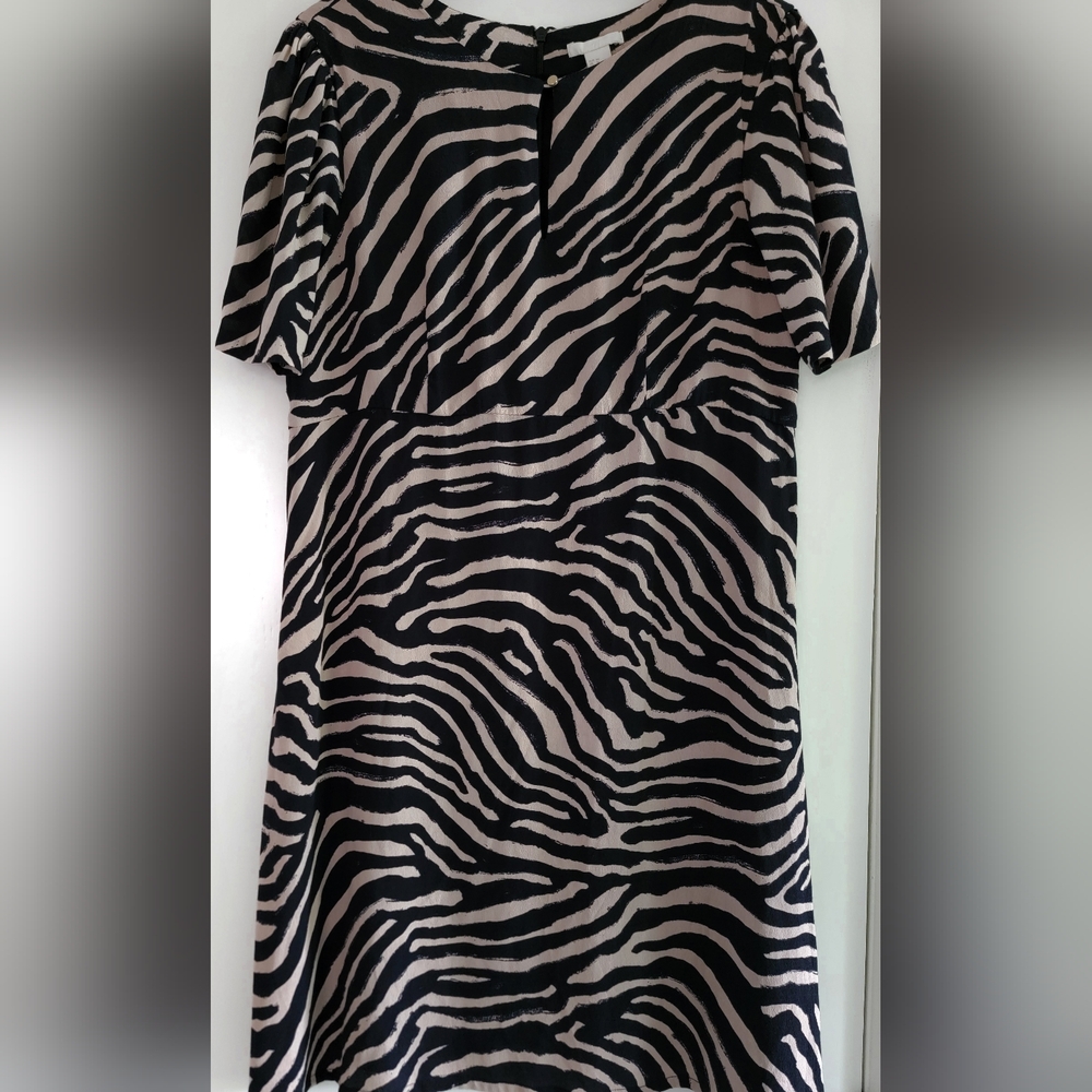 H&M Women's Dress Sz 14